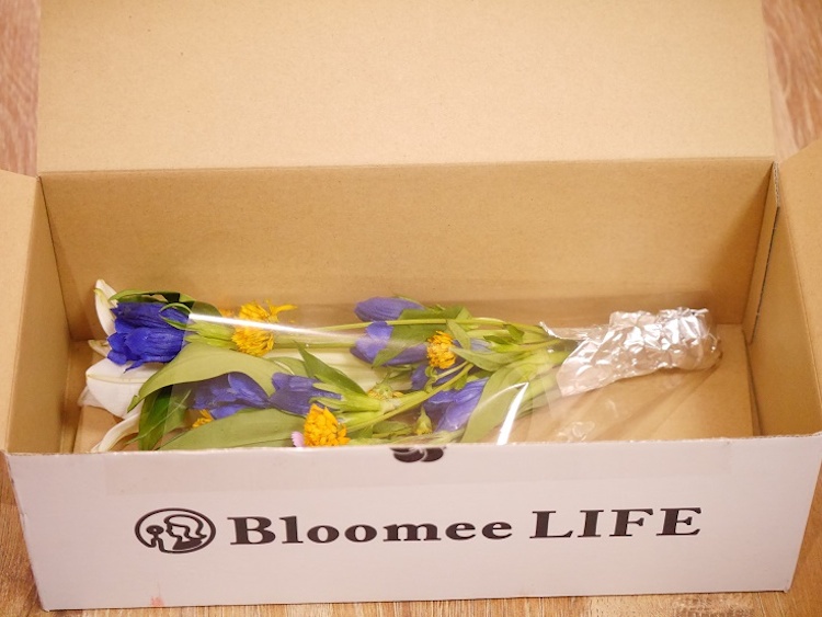 BloomeeLIFEは、約30種類以上の中からセレクトされた季節のお花が届く「花の定期便」。500円、800円、1200円からセレクトでき、週1～2回でお届け日を設定。不在の時にはスキップも可能など、フレキシブルに選べるのも魅力。https://bloomeelife.com/